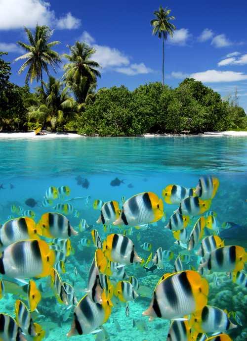 جزر المالديف